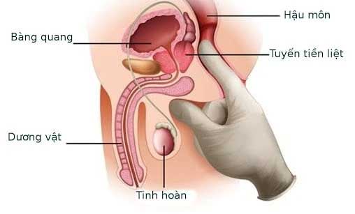 Điểm G của đàn ông